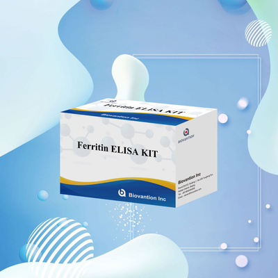 Biovantion ความรู้สึกสูง Ferritin Elisa Test Kit การตรวจหาปริมาณสําหรับการวินิจฉัยและการวิจัย