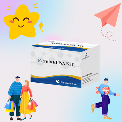 Biovantion ความรู้สึกสูง Ferritin Elisa Test Kit การตรวจหาปริมาณสําหรับการวินิจฉัยและการวิจัย