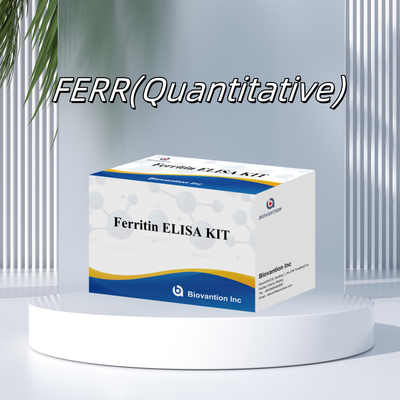 Biovantion ความรู้สึกสูง Ferritin Elisa Test Kit การตรวจหาปริมาณสําหรับการวินิจฉัยและการวิจัย