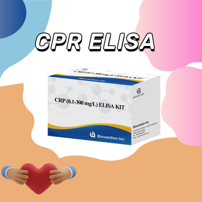 CRP 0.1-300 Mg/L ชุดทดสอบ Elisa สําหรับการตรวจพบสารชีวภาพที่มีความรู้สึก