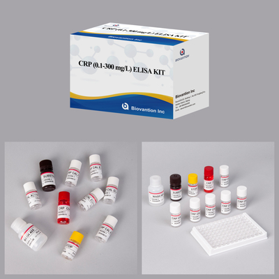CRP 0.1-300 Mg/L ชุดทดสอบ Elisa สําหรับการตรวจพบสารชีวภาพที่มีความรู้สึก
