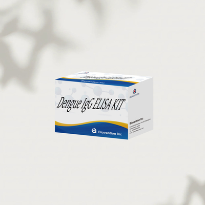 ชุดทดสอบ IgG ELISA ที่มีประสิทธิภาพสูงสําหรับการตรวจสอบโรคแดงก้า