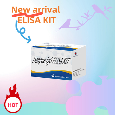 ชุดทดสอบ IgG ELISA ที่มีประสิทธิภาพสูงสําหรับการตรวจสอบโรคแดงก้า