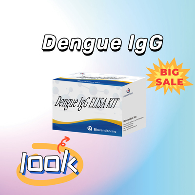 ชุดทดสอบ IgG ELISA ที่มีประสิทธิภาพสูงสําหรับการตรวจสอบโรคแดงก้า