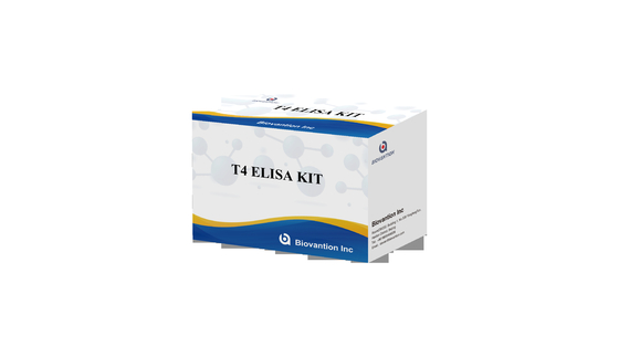 ชุดทดสอบ T4 Elisa ที่มีความเฉพาะสูง เพื่อตรวจพบสารเป้าหมายอย่างแม่นยํา