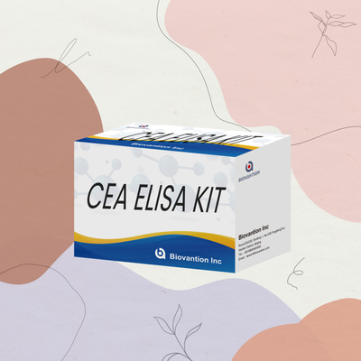 คิททดสอบ ELISA ประเภท CEA ที่มีประสิทธิภาพสูง สําหรับการวิจัยและการรักษาทางคลินิก