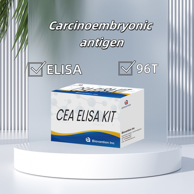 คิททดสอบ ELISA ประเภท CEA ที่มีประสิทธิภาพสูง สําหรับการวิจัยและการรักษาทางคลินิก