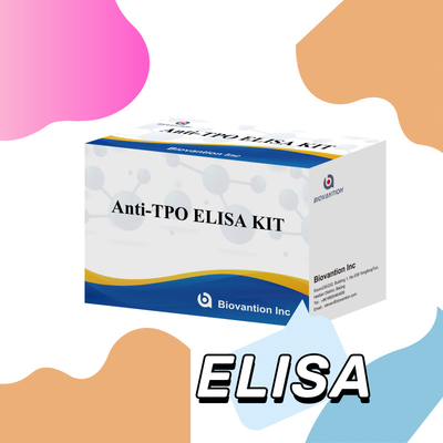 ชุดทดสอบ TPO Elisa ที่สะดวกและแม่นยํา สําหรับการตรวจพบและติดตามโรค