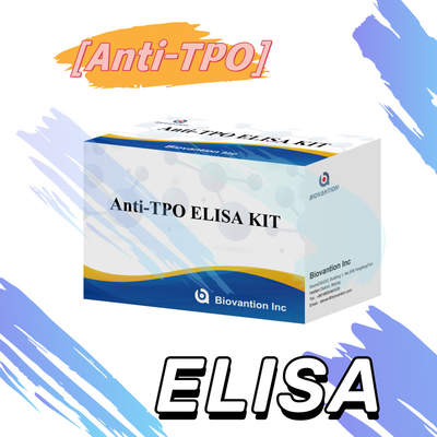 ชุดทดสอบ TPO Elisa ที่สะดวกและแม่นยํา สําหรับการตรวจพบและติดตามโรค