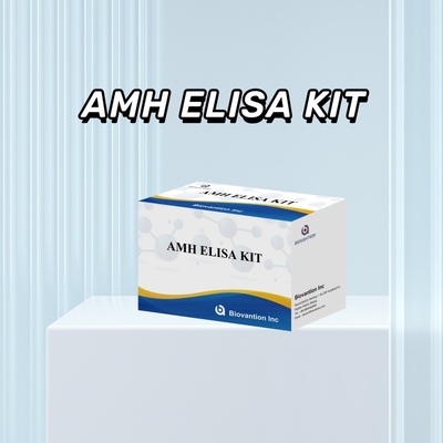 การทดสอบ IVD การตรวจสอบฮอร์โมน AMH Elisa ของแอนติมัลเลอเรียสําหรับมนุษย์