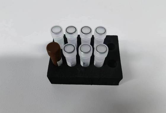 ชุดทดสอบอย่างรวดเร็วสำหรับตรวจหาไวรัสชิคุนกุนยาในซีรั่ม พลาสมา และเลือดครบส่วนของมนุษย์