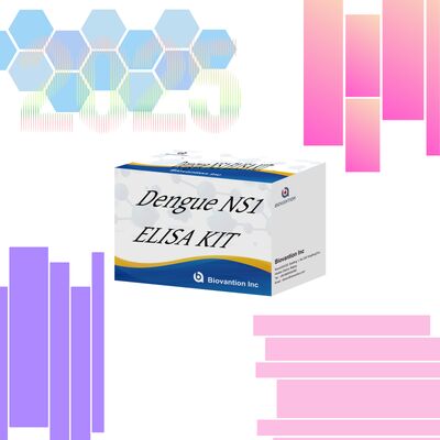 ชุดทดสอบ ELISA Dengue IgM อายุการเก็บรักษา 18 เดือน พร้อมความไวสูง และ 96 เทสต์/ชุด สำหรับการวินิจฉัยในห้องปฏิบัติการของโรงพยาบาล