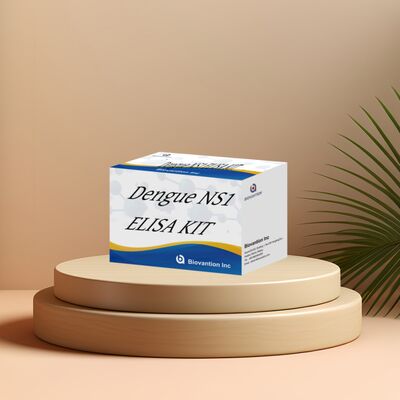 ชุดทดสอบ ELISA Dengue IgM อายุการเก็บรักษา 18 เดือน พร้อมความไวสูง และ 96 เทสต์/ชุด สำหรับการวินิจฉัยในห้องปฏิบัติการของโรงพยาบาล