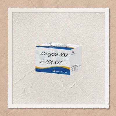 ชุดทดสอบ ELISA Dengue IgM อายุการเก็บรักษา 18 เดือน พร้อมความไวสูง และ 96 เทสต์/ชุด สำหรับการวินิจฉัยในห้องปฏิบัติการของโรงพยาบาล