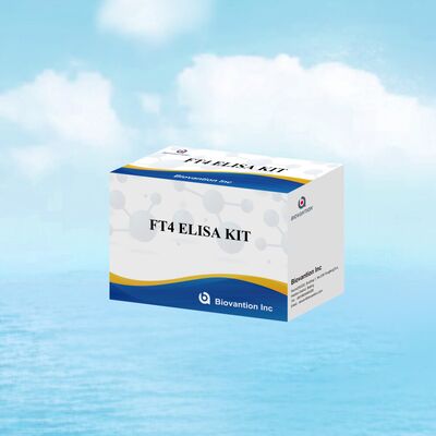 ชุดทดสอบ FT4 Elisa ที่แม่นยำ มีความจำเพาะ 98% และความไว 95% สำหรับความผิดปกติของต่อมไทรอยด์ (96 การทดสอบ)