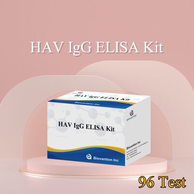 HAV IgG ELISA Kit ความรู้สึกสูง (0.2 ng/mL) มีใบรับรอง CE สําหรับการตรวจหาไวรัสโรคตับอักเสบ A ที่แม่นยําใน 96 การทดสอบ