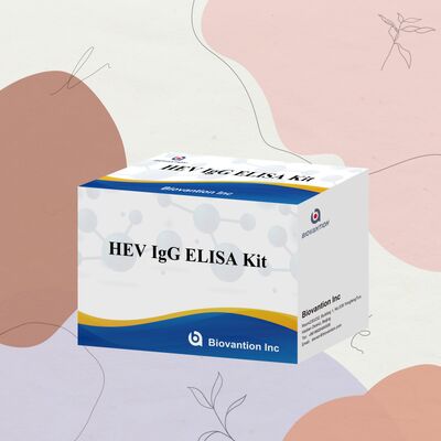 ชุดทดสอบ HEV-IgG ELISA ความรู้สึกสูง ขนาด 96T และอายุการใช้ 18 เดือนสําหรับการวินิจฉัยโรคตับอักเสบเอ
