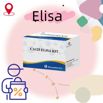 ชุดทดสอบ ELISA CA125 ความไวสูง พร้อม 96 การทดสอบและเวลาทดสอบ 1 ชั่วโมง เพื่อการวินิจฉัยมะเร็งที่แม่นยำ