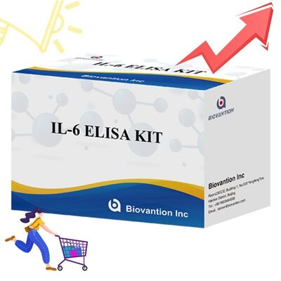 IL-6 Interleukin-6 Human ELISA Kit ด้วยความแม่น 99% อายุการใช้งาน 24 เดือน และ 96 การทดสอบ/Kit