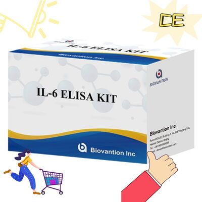 IL-6 Interleukin-6 Human ELISA Kit ด้วยความแม่น 99% อายุการใช้งาน 24 เดือน และ 96 การทดสอบ/Kit