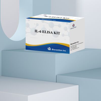 IL-6 Interleukin-6 Human ELISA Kit ด้วยความแม่น 99% อายุการใช้งาน 24 เดือน และ 96 การทดสอบ/Kit