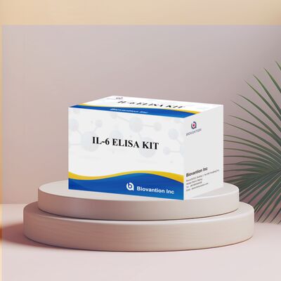 IL-6 Interleukin-6 Human ELISA Kit ด้วยความแม่น 99% อายุการใช้งาน 24 เดือน และ 96 การทดสอบ/Kit
