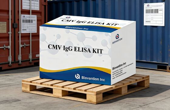 ห้องปฏิบัติการหรือโรงพยาบาล CMV IgG Elisa Test Kit ความแม่นยําสูง