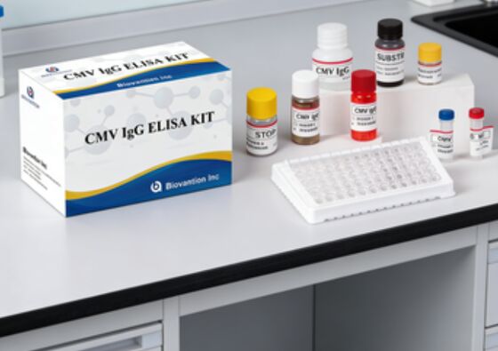 ห้องปฏิบัติการหรือโรงพยาบาล CMV IgG Elisa Test Kit ความแม่นยําสูง