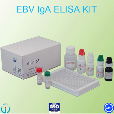 EBV-VCA IgA Ab ทดสอบ ELISA Kit เอนไซม์ Immunoassay ทดสอบพลาสม่าตัวอย่าง