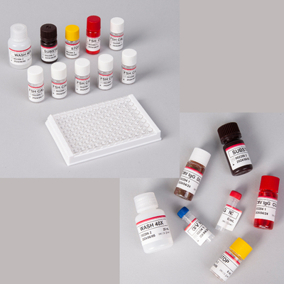 Human Pro-BNP Elisa Kit / Pro-Brain Natriuretic Peptide Elisa Kit ชนิดของยาที่ใช้ในสมอง