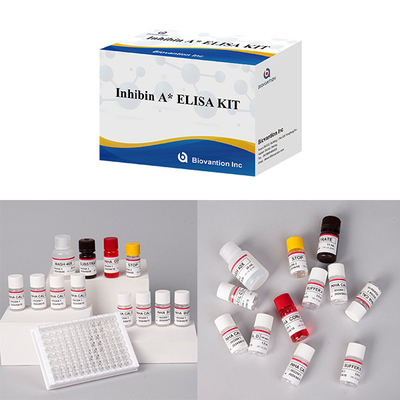 ห้องปฏิบัติการหรือโรงพยาบาล ความละเอียดสูง Inhibin A Diagnosis Elisa Test Kit
