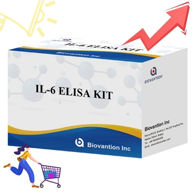 ชุด ELISA ความรู้สึกสูง สําหรับการตรวจพบ IL6 สารปฏิกิริยาการวิจัยที่น่าเชื่อถือ สําหรับการวิเคราะห์ไซโตคีนที่แม่นยํา