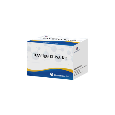 ความรู้สึกสูง HAV IgG ELISA Kit การตรวจหาไวรัสเชื้อตับอักเสบ A ที่แม่นยํา มีใบรับรอง CE ที่น่าเชื่อถือ สําหรับการใช้ในทางคลินิกและการวิจัย