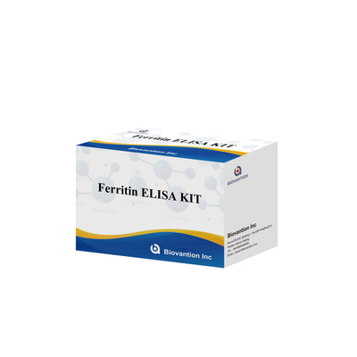 Biovantion ความรู้สึกสูง Ferritin Elisa Test Kit การตรวจหาปริมาณสําหรับการวินิจฉัยและการวิจัย