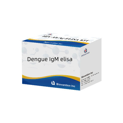 คิตทดสอบ ELISA IgM 96T ไวรัสแดงก้ามนุษย์ IgM