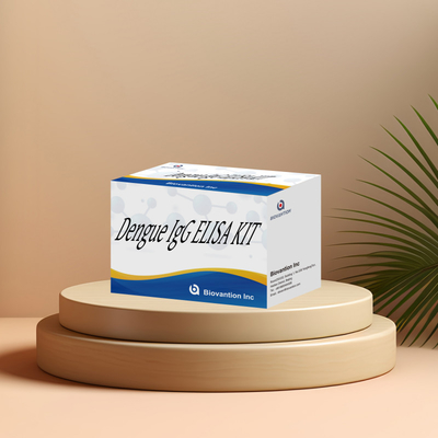 การทดสอบ IgG ELISA Kit 96 ที่มีประสิทธิภาพสูงสําหรับโรคแดงก้า เพื่อให้ได้ผลที่มีความรู้สึกและแม่นยํา