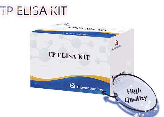 ชุดทดสอบ Syphilis TP ELISA 96T สำหรับตรวจหาแอนติบอดีต่อเชื้อ Treponema Pallidum ในซีรั่มมนุษย์