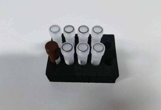 ชุดตรวจ PCR ไข้เลือดออกคุณภาพสูง ตรวจได้ 48 เทส