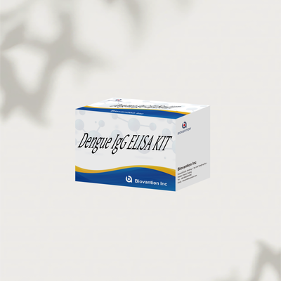 ชุดตรวจ Dengue IgG ELISA 96T การตรวจหาแอนติบอดี IgG ต่อไวรัสเดงกีในมนุษย์แบบปริมาณ